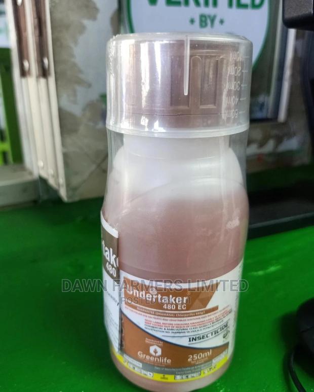 Undertaker 250mls