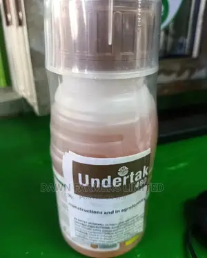 Undertaker 250mls