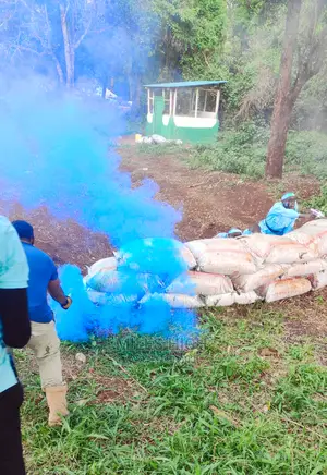 Large Smoke Bomb