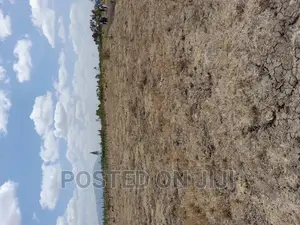 Malaa Plots Near Tarmac