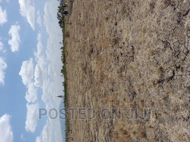 Malaa Plots Near Tarmac - main view