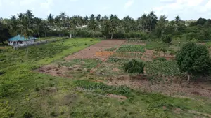 Kinondo Two Acres Prime Land