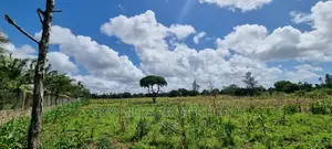 1.8 Acre Land on Sale Mtwapa Animo Area
