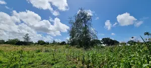 1.8 Acre Land on Sale Mtwapa Animo Area