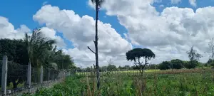1.8 Acre Land on Sale Mtwapa Animo Area