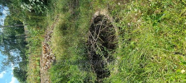 1.8 Acre Land on Sale Mtwapa Animo Area - thumbnail 9