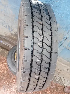 255/70r22.5 Dunlop Tyre