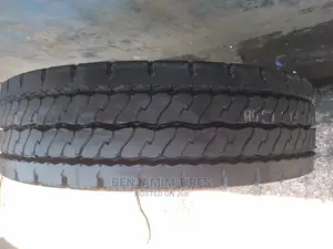 Dunlop Tires for Isuzu Fi Sizes 255/70r22.5.