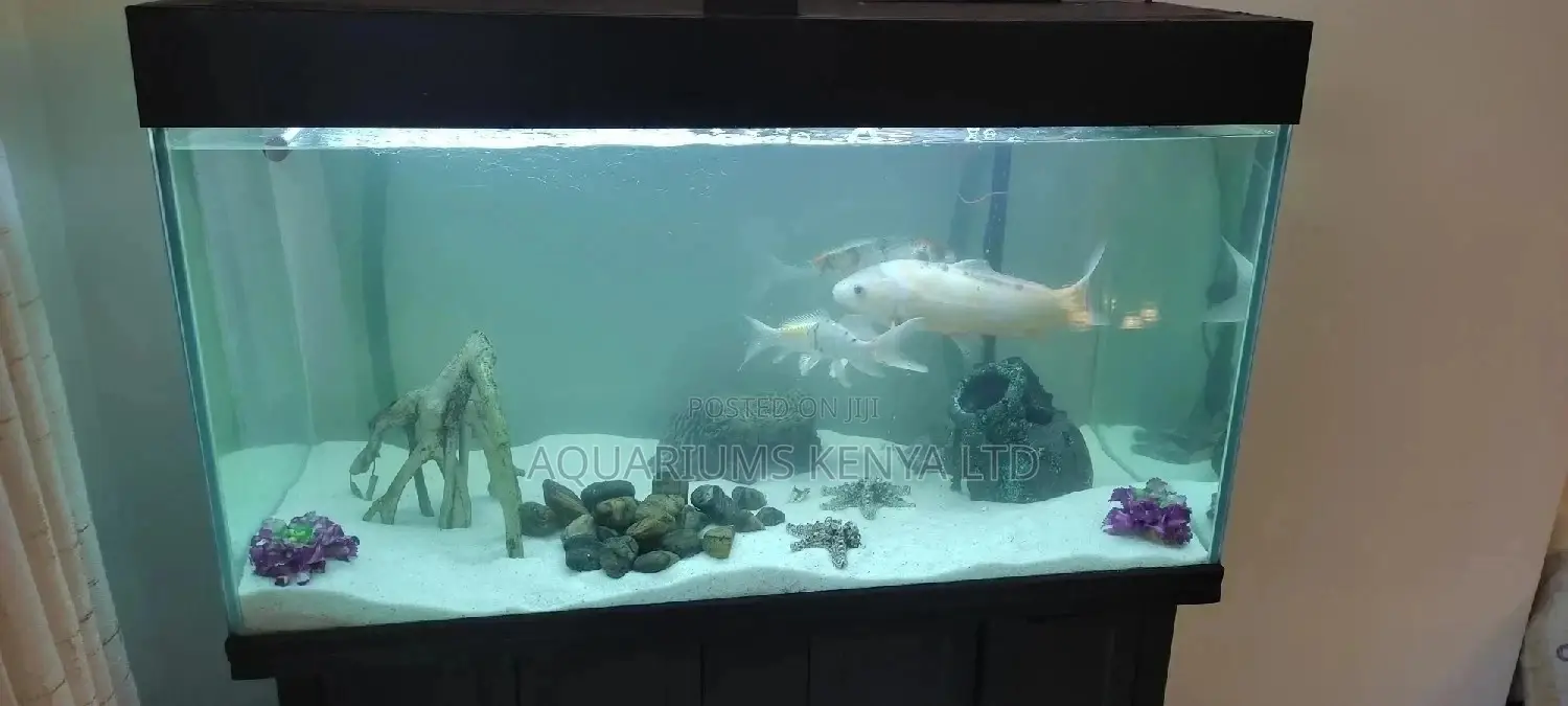 Fine White Sand For Aquariums