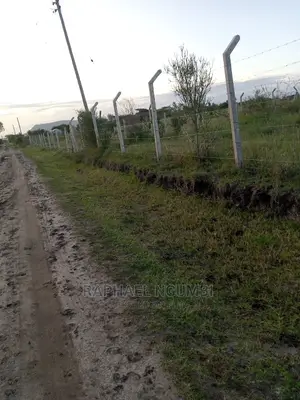 Plots Touching Tarmac