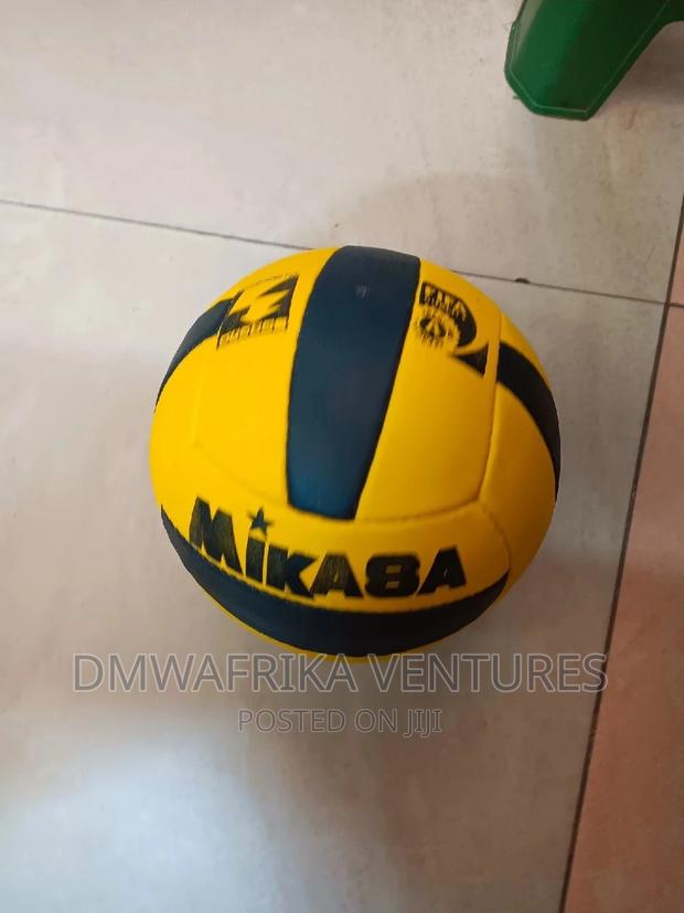 Local Leather Volleyball - thumbnail 4