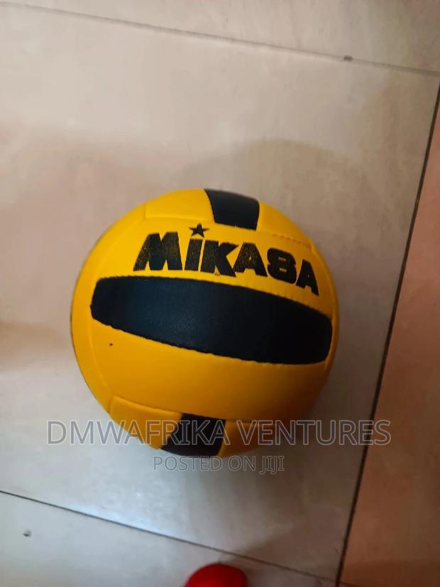 Local Leather Volleyball - thumbnail 6
