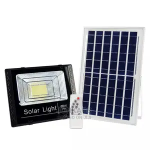 Remote Controlled Garden Light