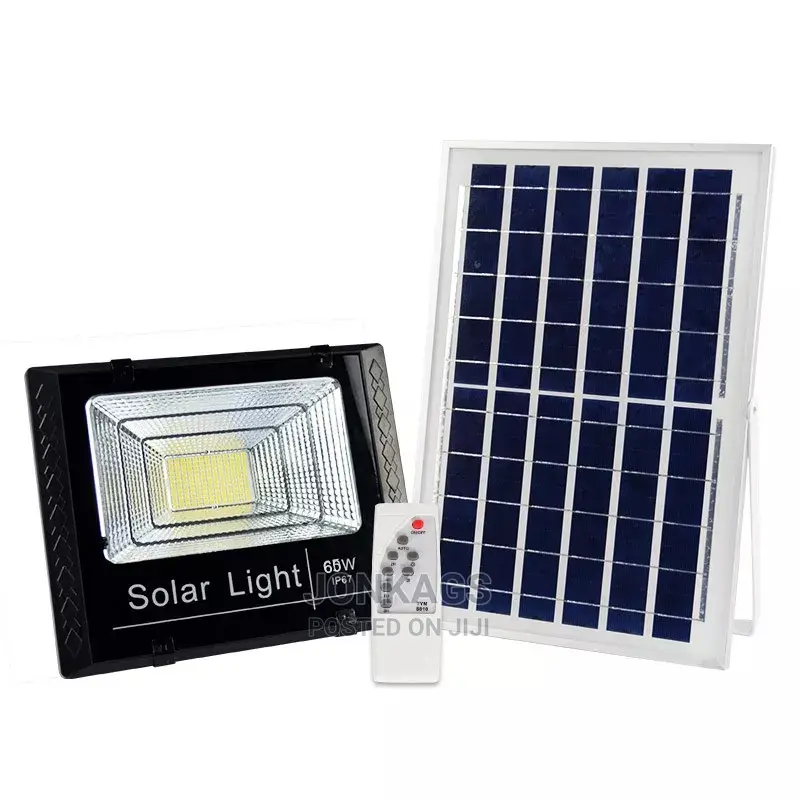 Remote Controlled Garden Light