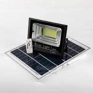 Remote Controlled Garden Light