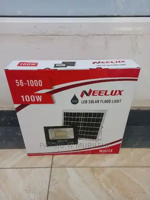 Neelux 100w Solar Flood Light