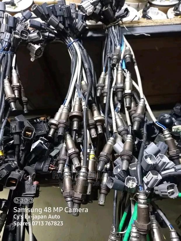 Oxygen Sensor