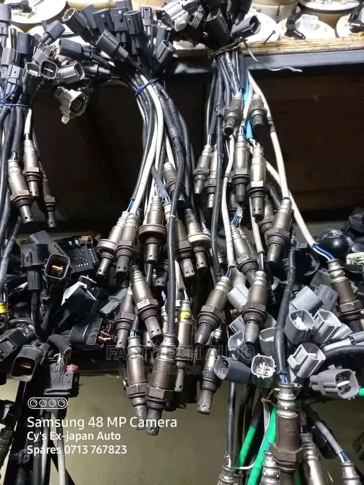 Oxygen Sensor