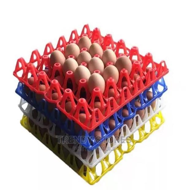 Ventilated Plastic Egg Tray - thumbnail 3