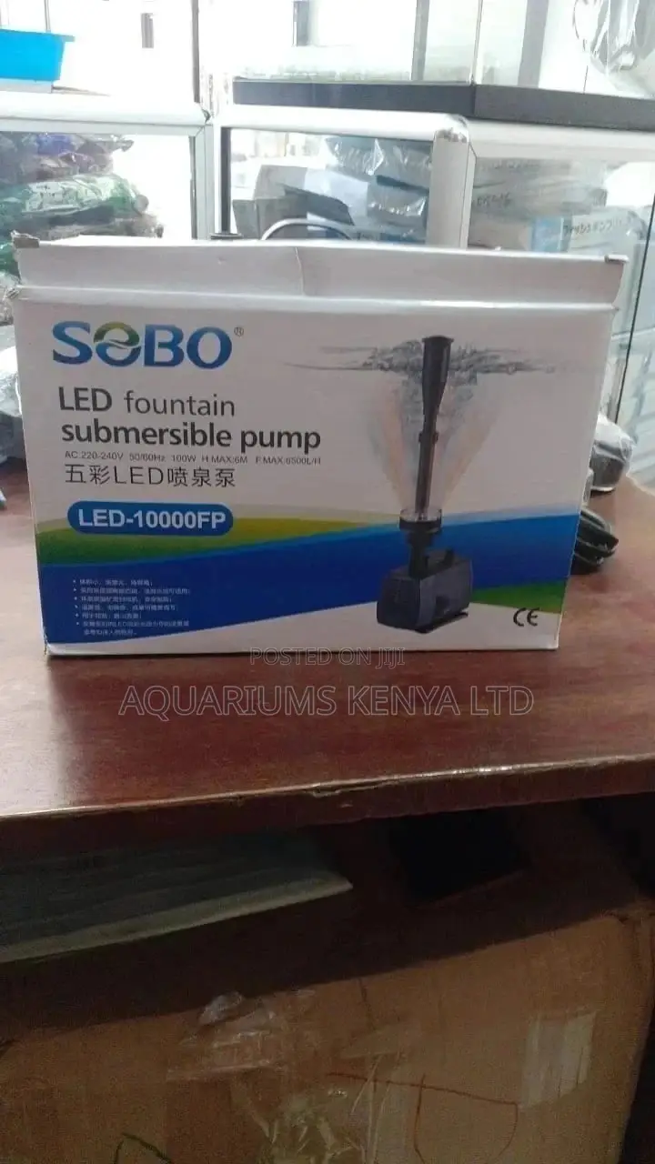 Fountain Pump With Circular Lighting