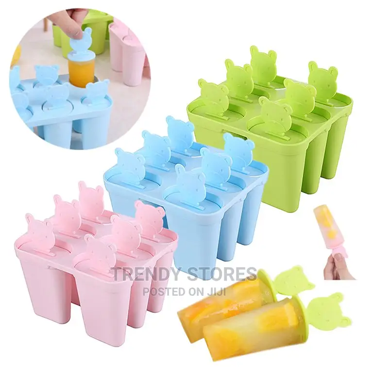 6 in 1 Set Ice Cream Mould Popsicle Maker Box DIY
