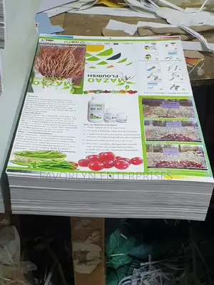 Fliers Printing in Bulk