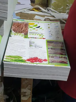Fliers Printing in Bulk