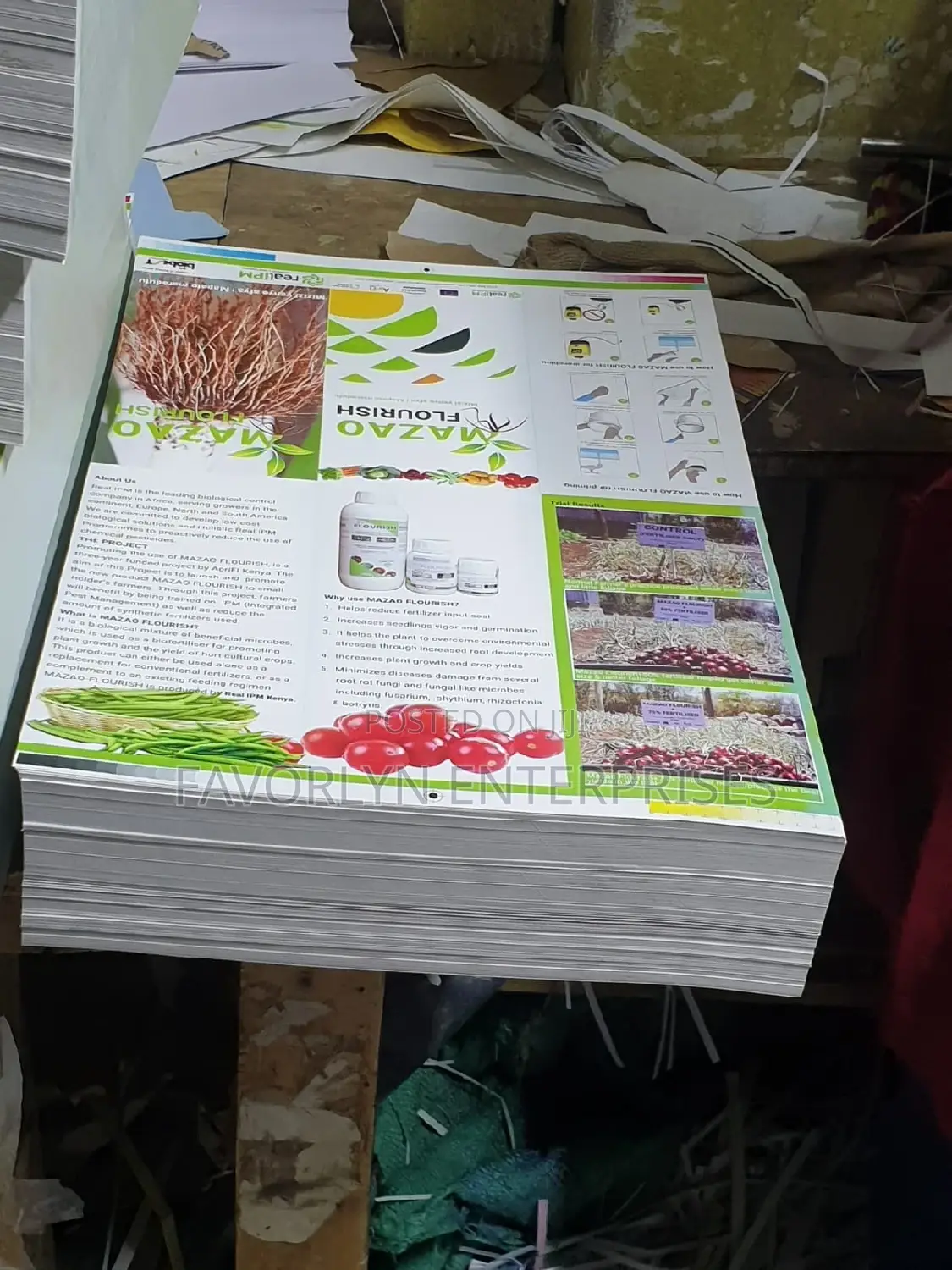 Fliers Printing in Bulk