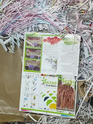 Fliers Printing in Bulk