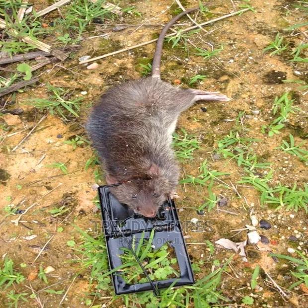 2pcs Mouse Trap Re Usable - thumbnail 3