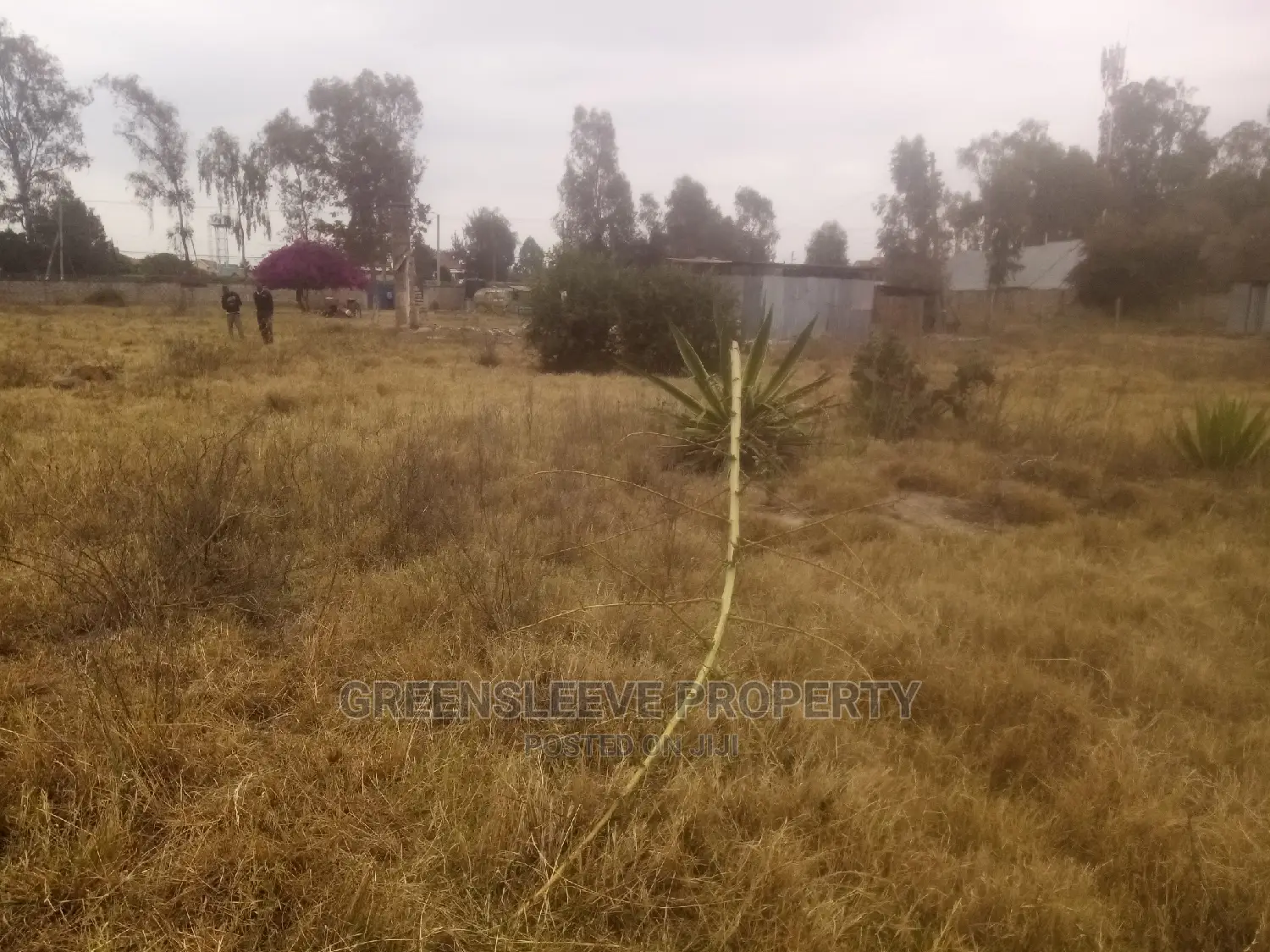Land for Sale Bongain Karen
