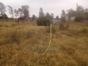 Land for Sale Bongain Karen