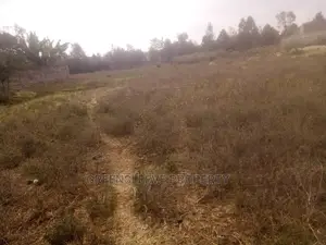 1 Acre for Sale