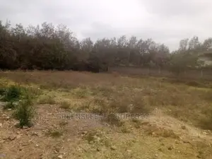 1 Acre for Sale