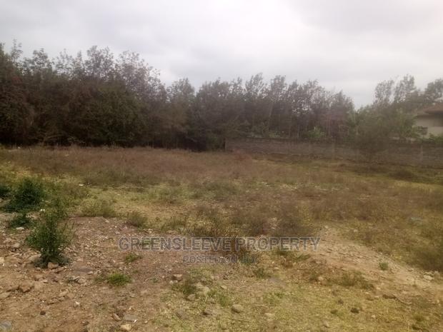 1 Acre for Sale - thumbnail 5
