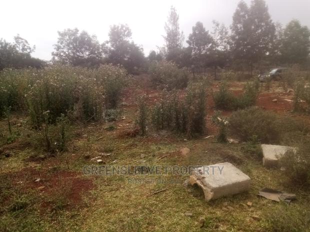 1 Acre for Sale - thumbnail 7