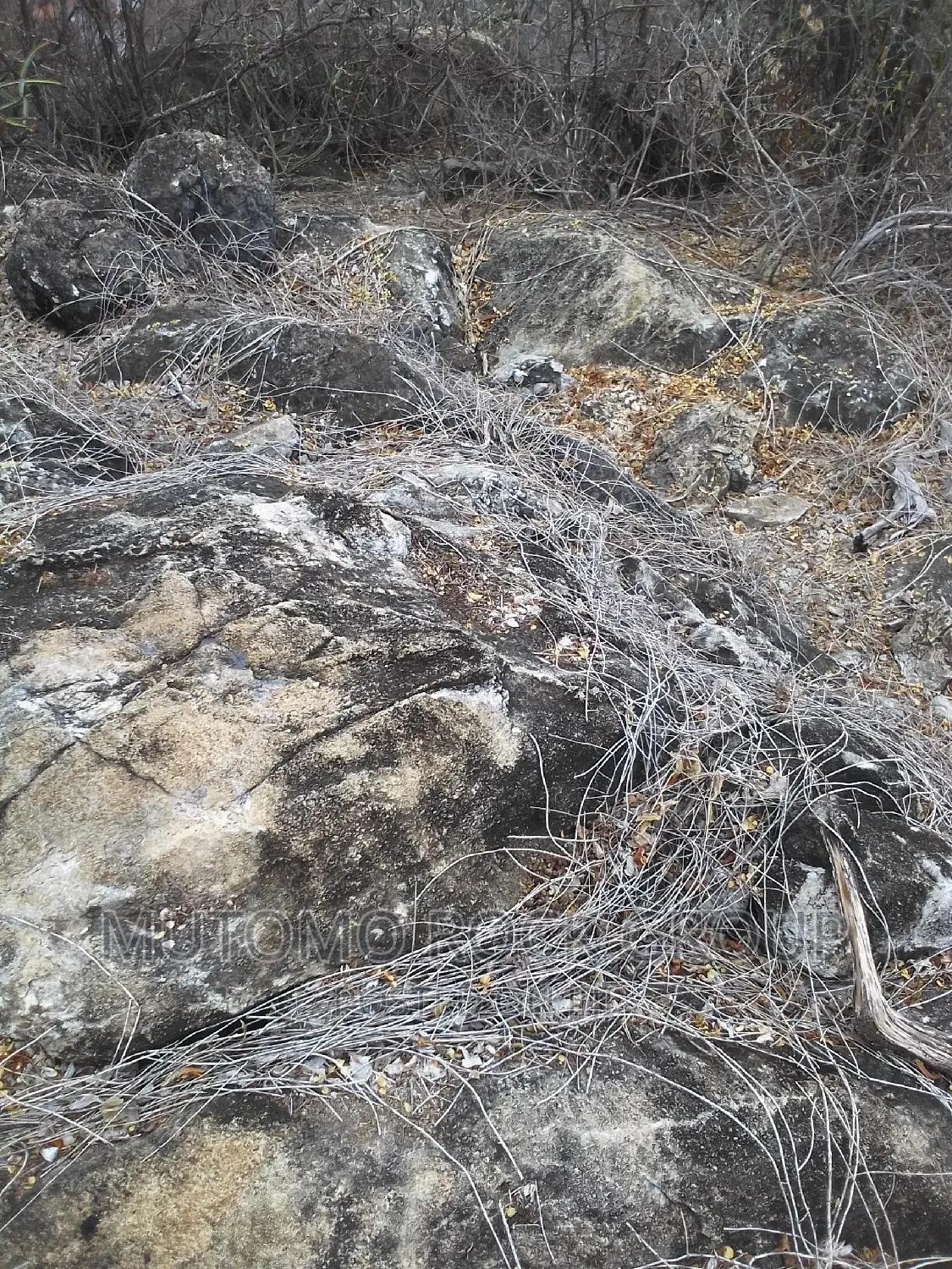 2500acres Limestone Land for Sale With Title