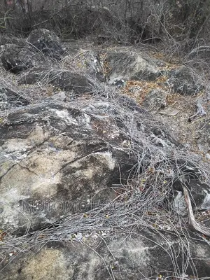 2500acres Limestone Land for Sale With Title