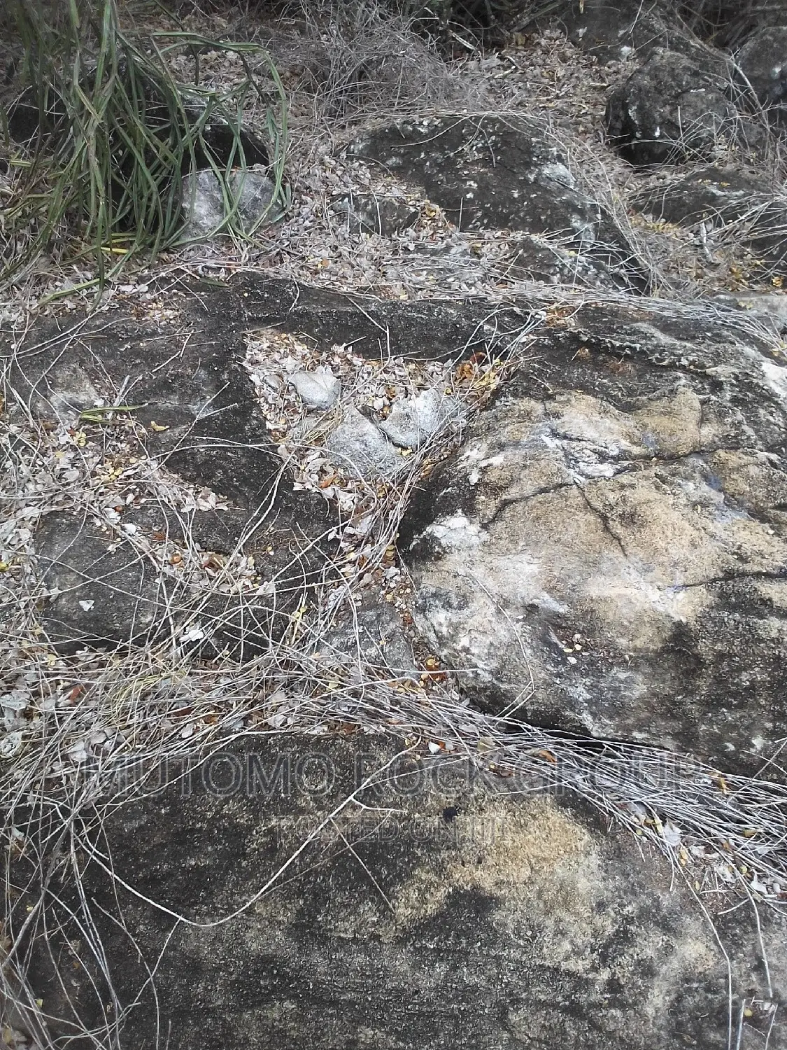 2500acres Limestone Land for Sale With Title