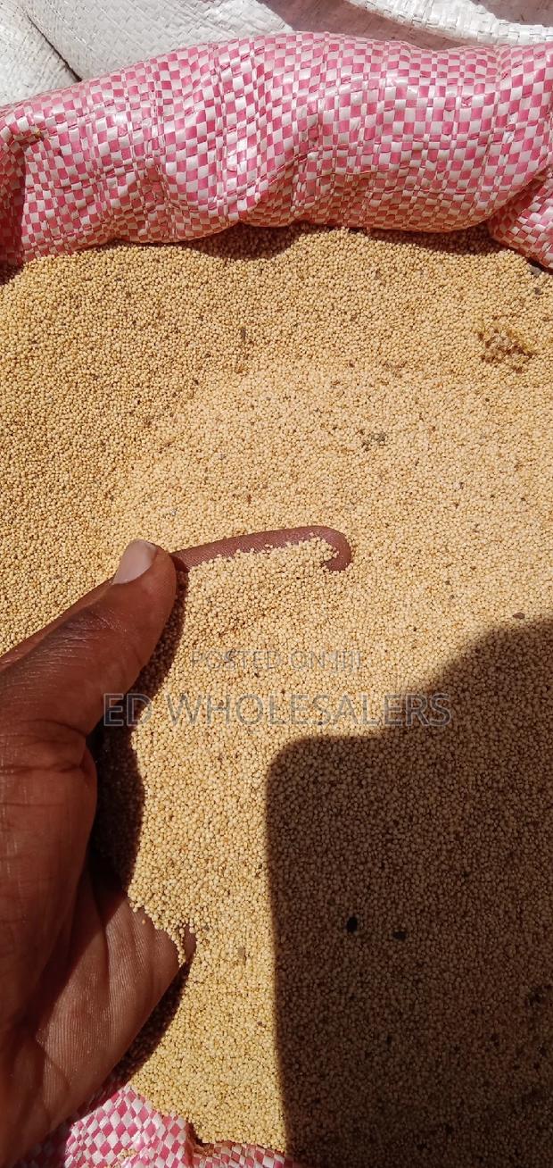 Amaranth/McHicha/Dodo Seeds on Sale - main view