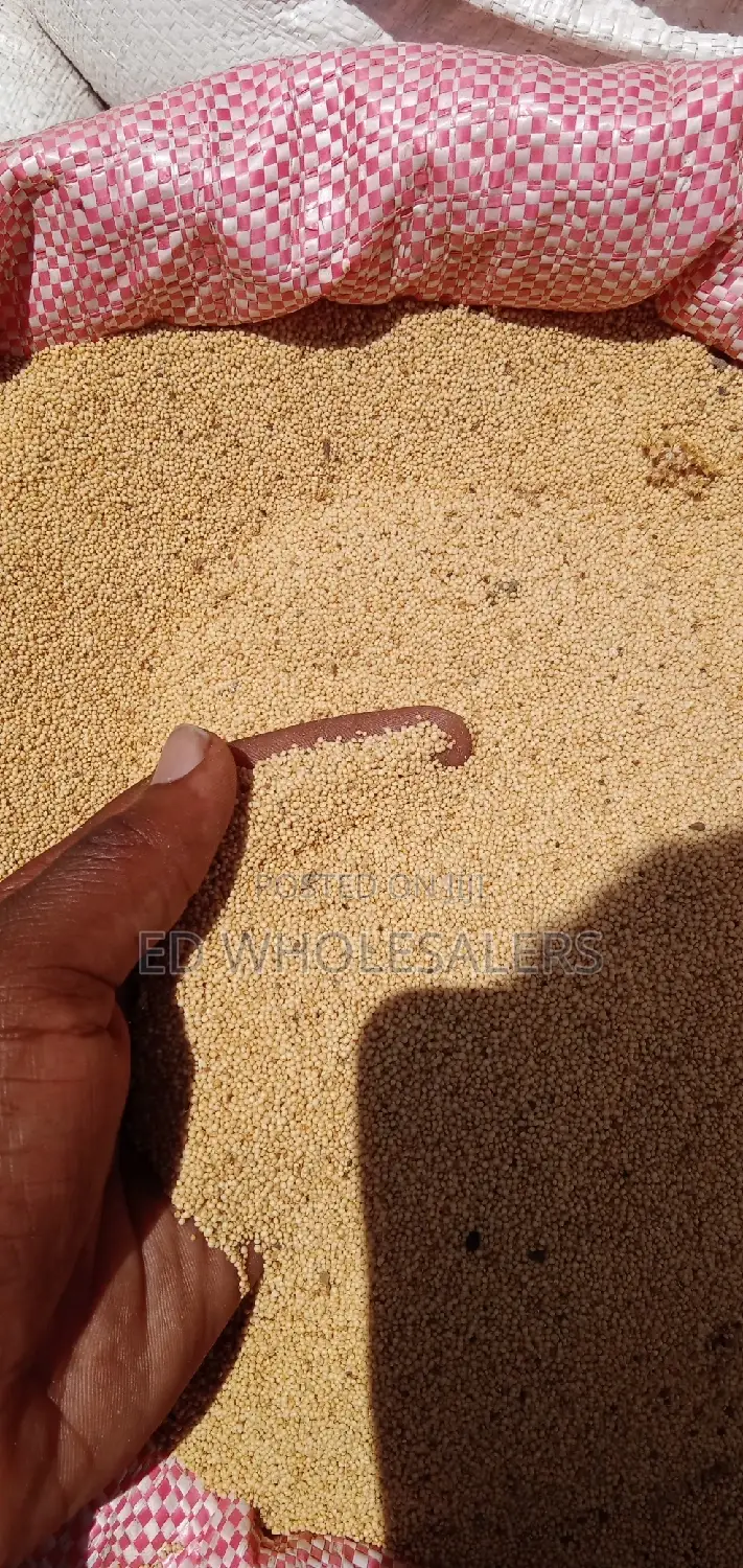 Amaranth/McHicha/Dodo Seeds on Sale