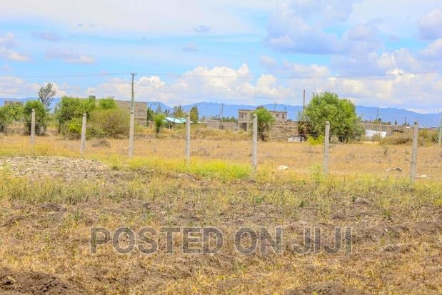 Speculative Plots. - main view