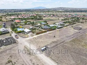 Plots for Immediate Settlement