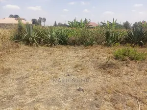 Kigajo Thika Muthaiga Estate.