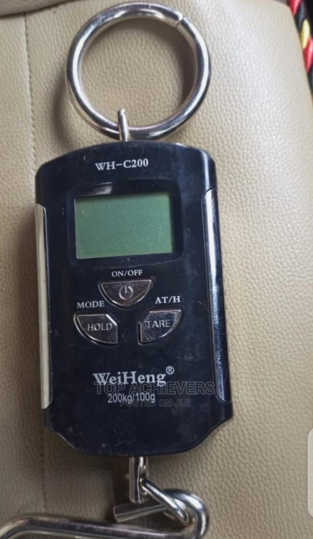 Advanced Digital Hanging Scale - main view