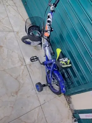 Bicycle Size 12