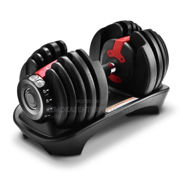 Adjustable Electric Dumbbell - main view