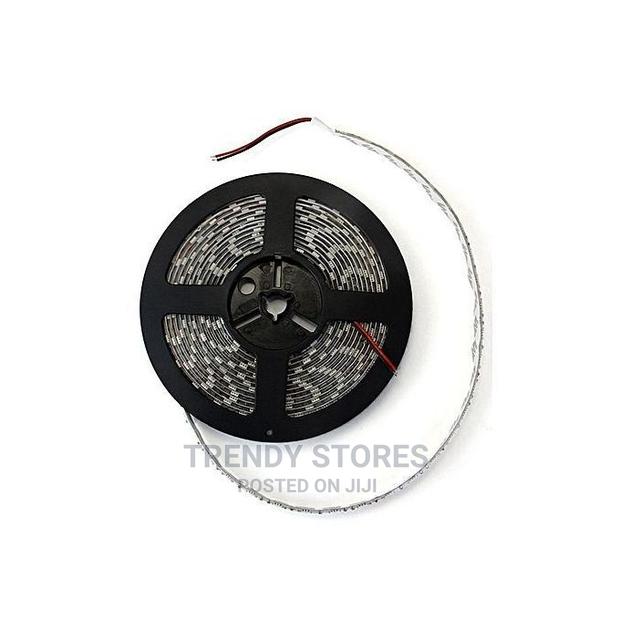 Festive Christmas 5meters Led Snake Lights for Decoration