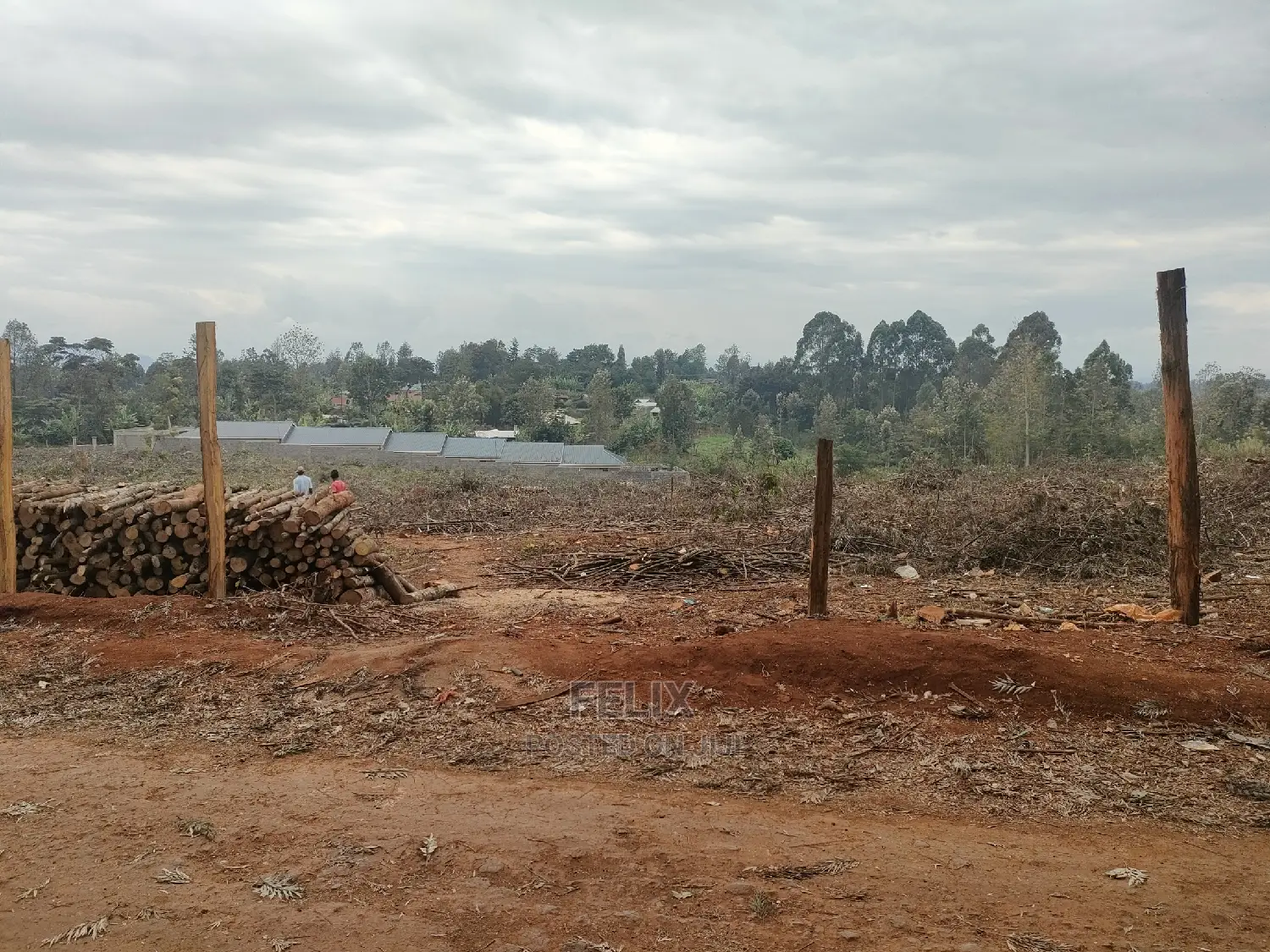 Karatina /Tumutumu/Giagatika Prime Plots