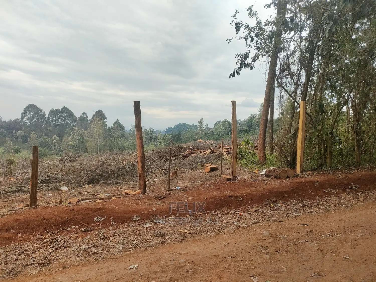 Karatina /Tumutumu/Giagatika Prime Plots